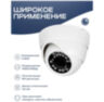 Камера видеонаблюдения IP Nevview NVE-D02IP цифровая с POE