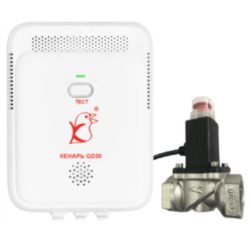 Комплект Кенарь GD30-N + DN20 (3/4’)