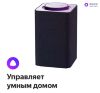 Умная колонка Яндекс Станция (YNDX-0001B), чёрная